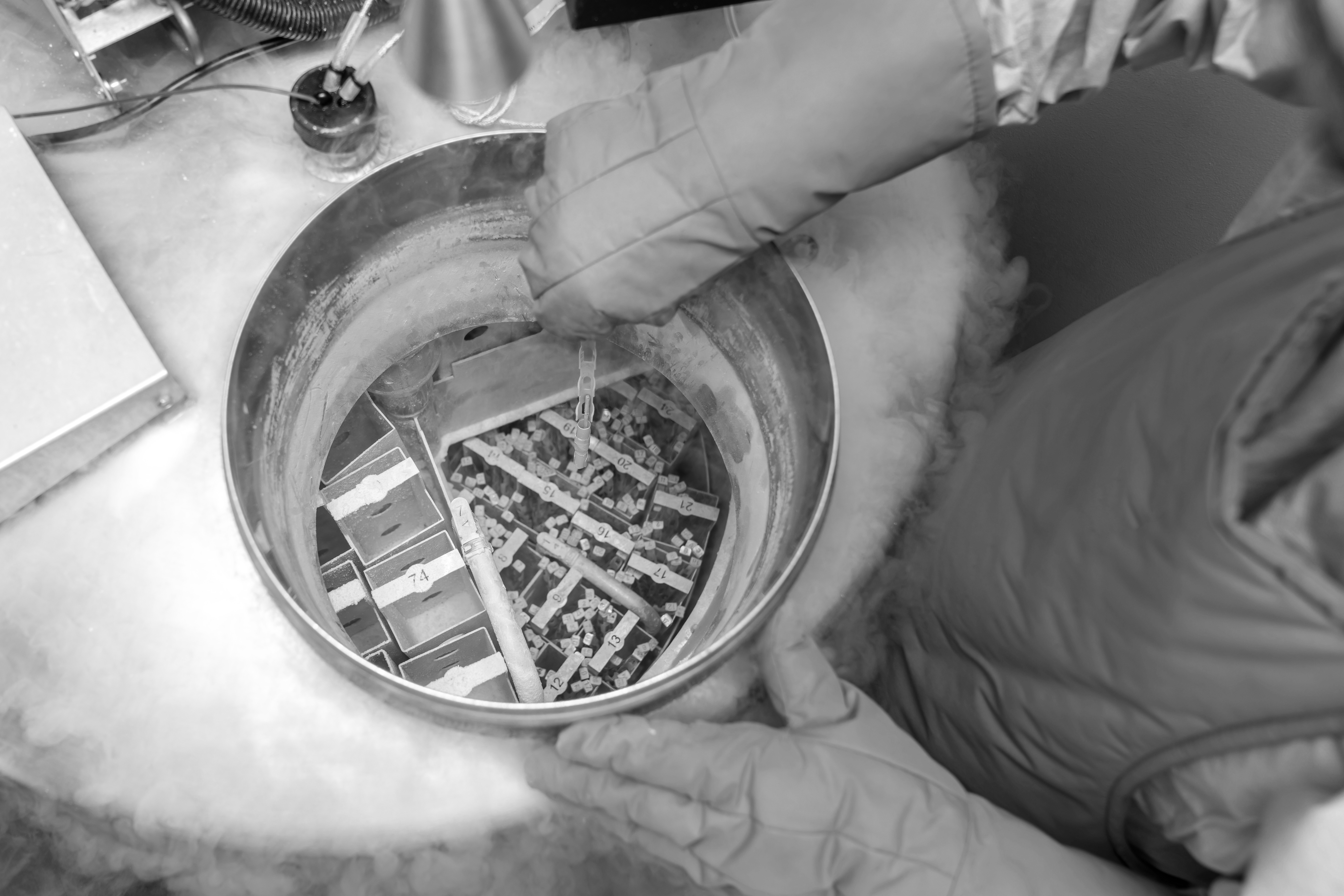 Inside view of a cryogenic storage tank containing organized vials of cryopreserved sperm samples in liquid nitrogen vapor